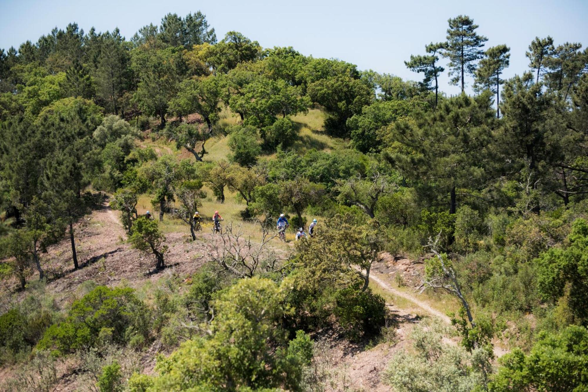 Herdade Das Barradas Da Serra แกรนโดลา ภายนอก รูปภาพ