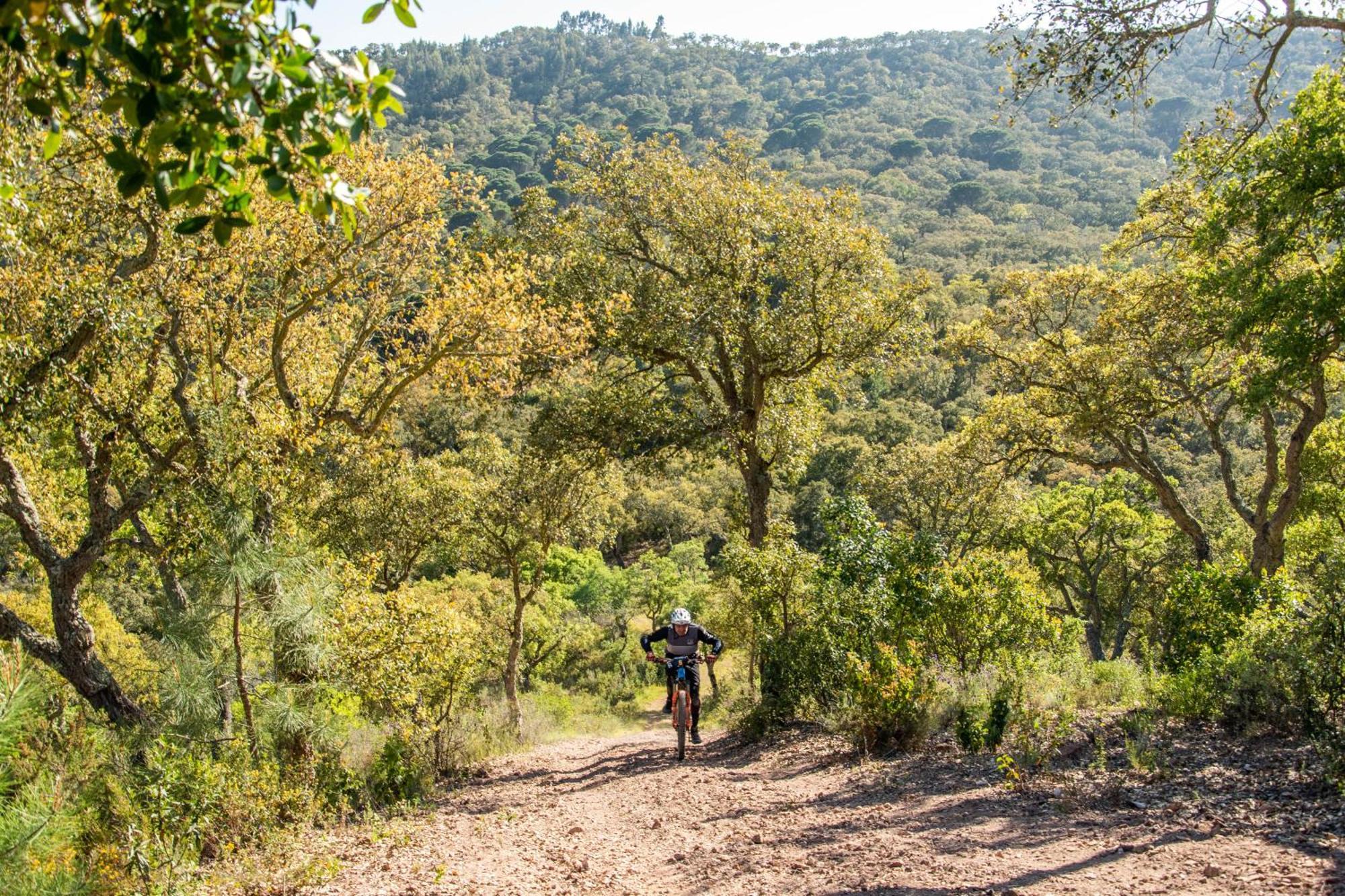 Herdade Das Barradas Da Serra แกรนโดลา ภายนอก รูปภาพ