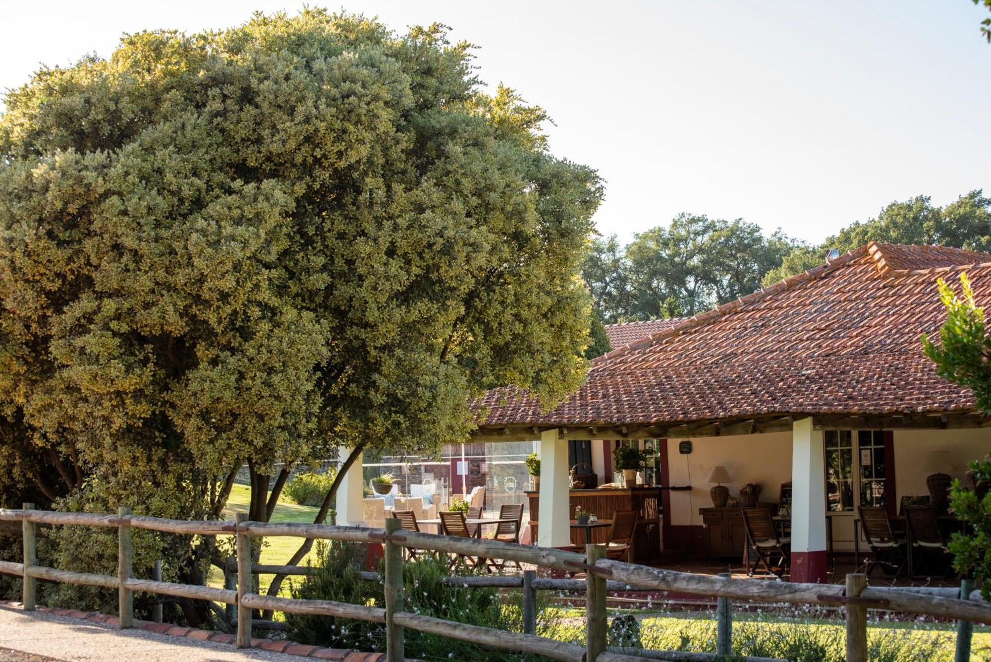 Herdade Das Barradas Da Serra แกรนโดลา ภายนอก รูปภาพ