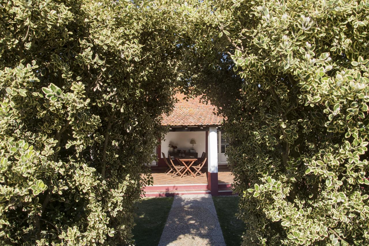 Herdade Das Barradas Da Serra แกรนโดลา ภายนอก รูปภาพ