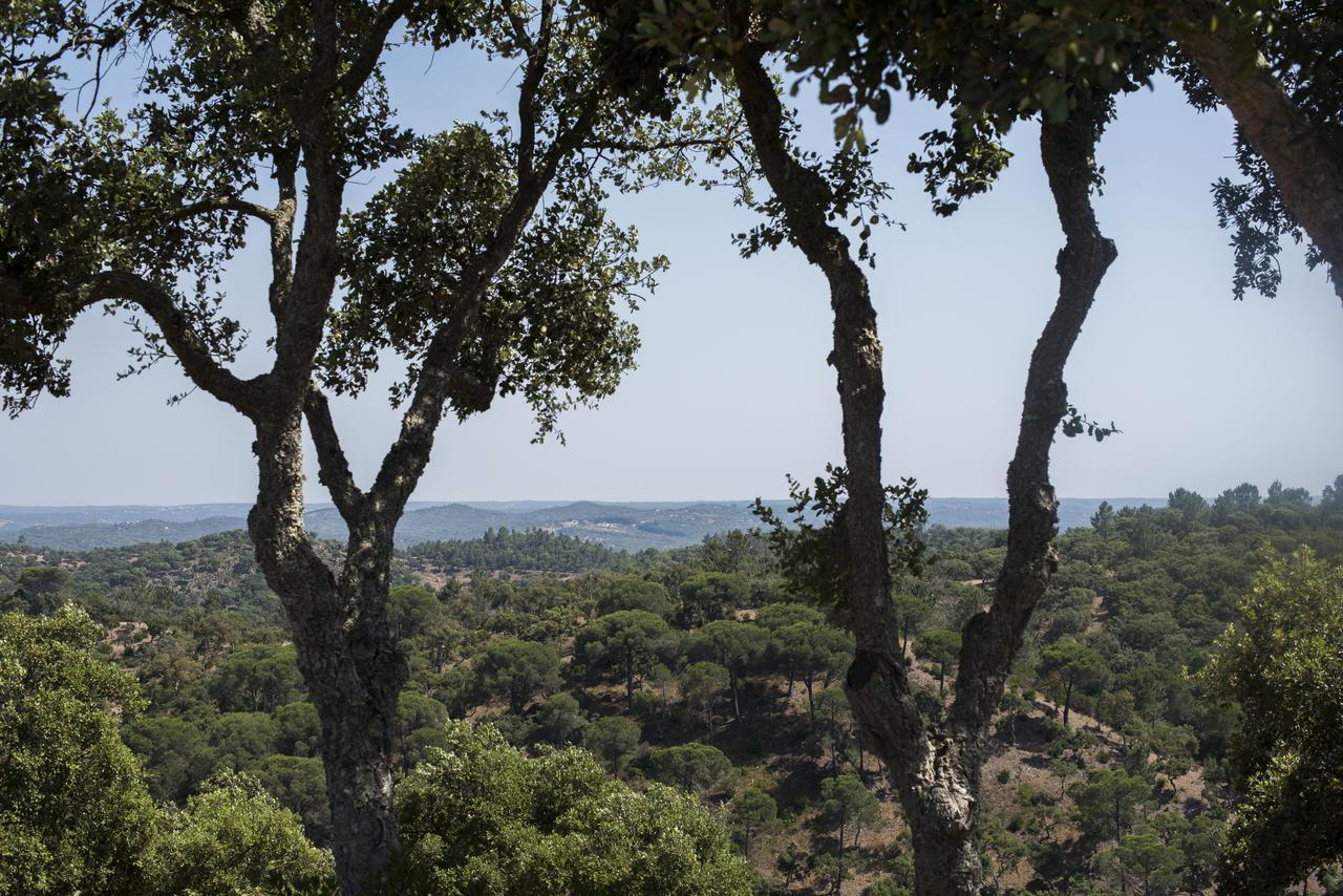 Herdade Das Barradas Da Serra แกรนโดลา ภายนอก รูปภาพ